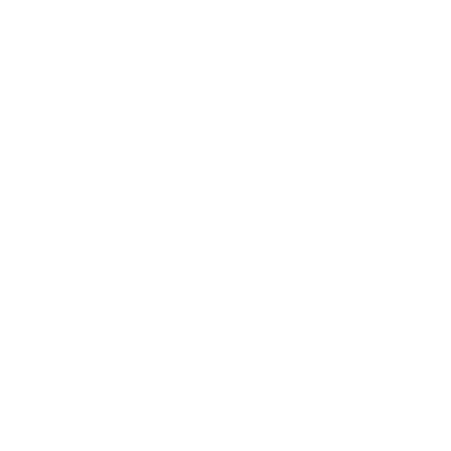 white lightbulb icon